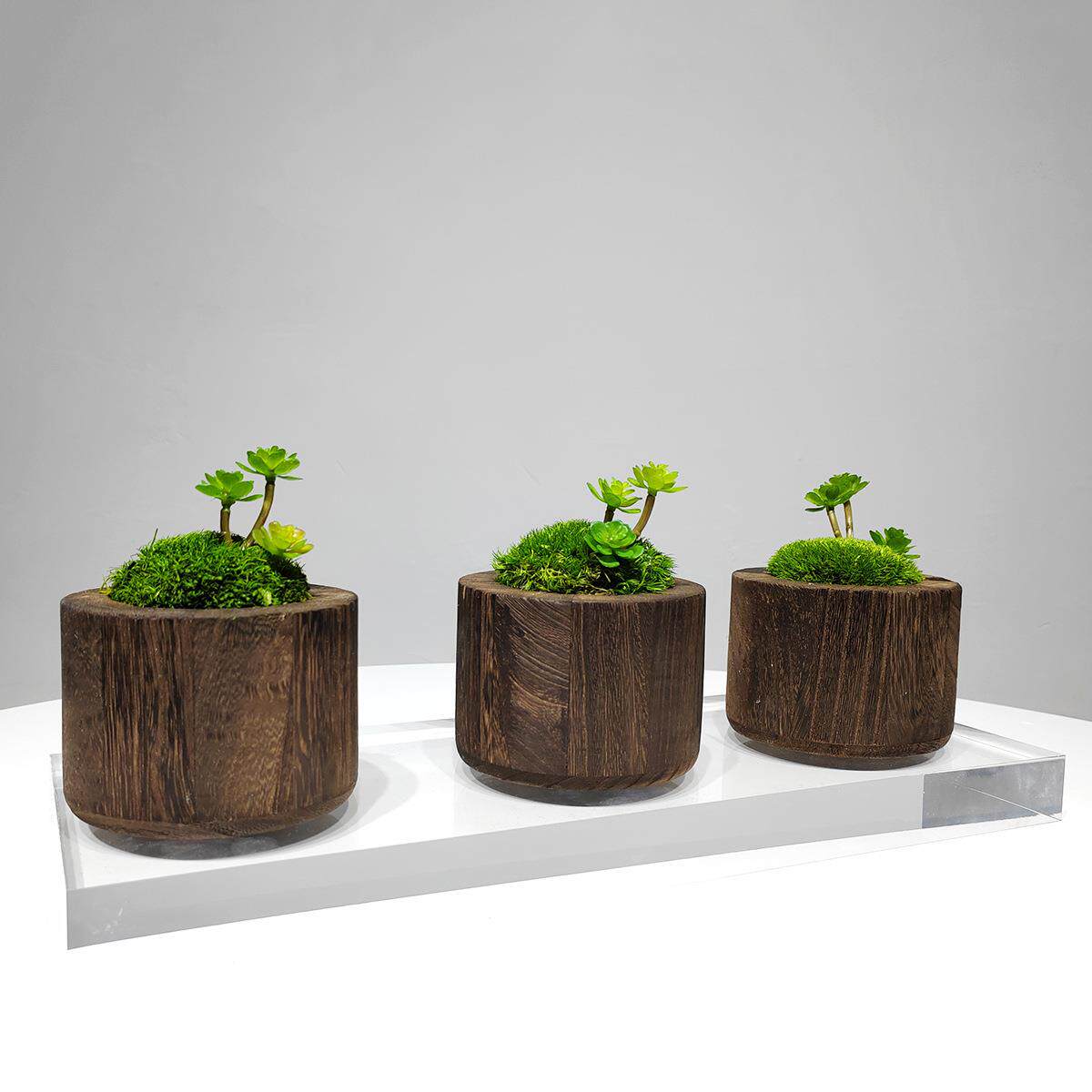 新中式实木花器永生苔藓绿植小盆景室内客厅床头柜洽谈桌软装饰品