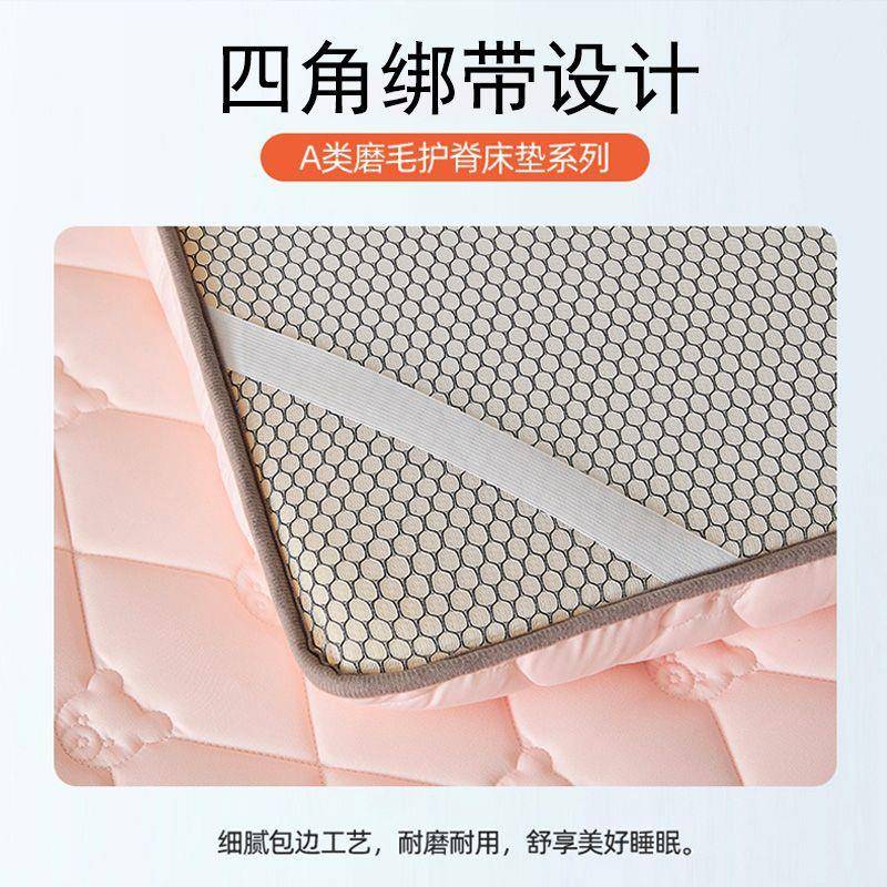 床垫家用软垫加厚榻榻米褥子铺底卧室宿舍学生单人租房垫子2