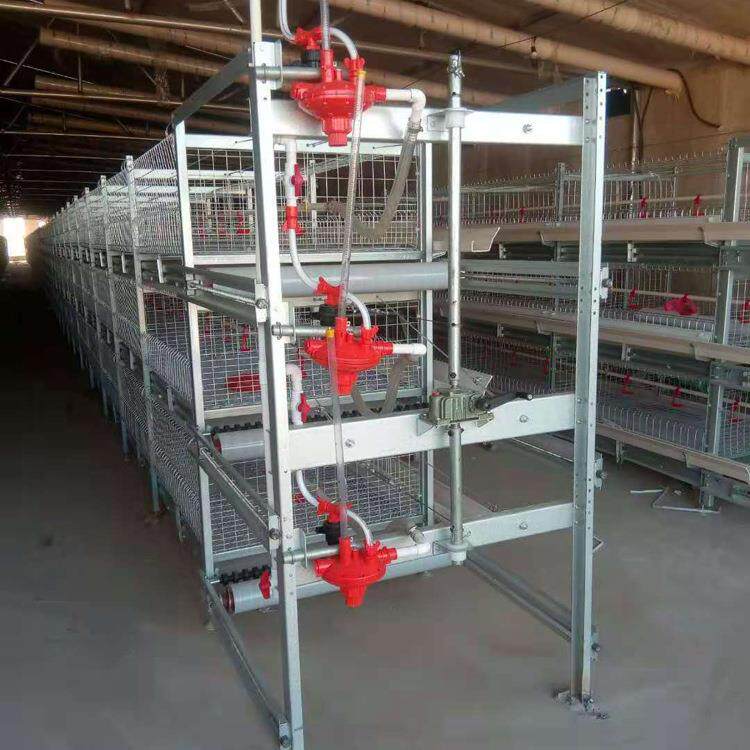 全自动肉鸡笼鸡舍半自动肉鸡笼热镀锌冷镀锌养殖场用鸡笼