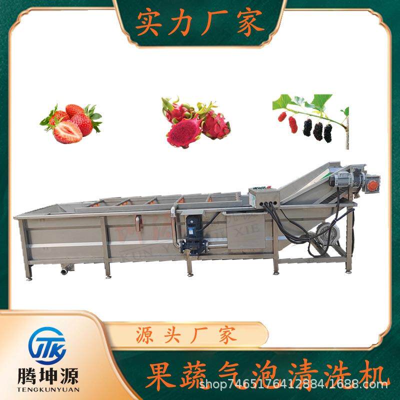 辣椒山野菜蒲公英果蔬清洗机商用蔬菜全自动喷淋式气泡清洗机