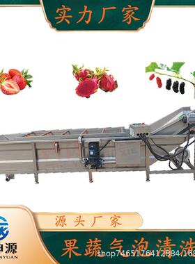 辣椒山野菜蒲公英果蔬清洗机商用蔬菜全自动喷淋式气泡清洗机