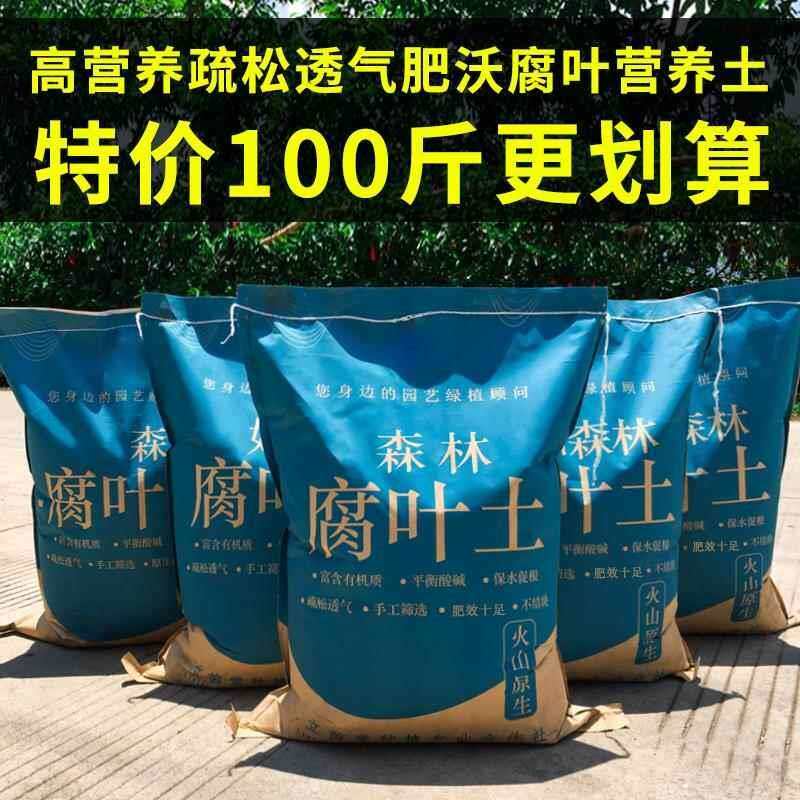 云南腐叶土松针腐殖营养土100斤包邮绿植多肉花卉种菜种植培养土