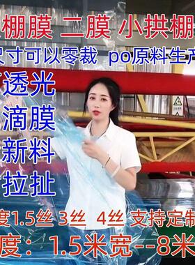 大棚膜二膜二层三层小拱棚蓝色透明塑料薄膜防寒防冻保温农用薄膜