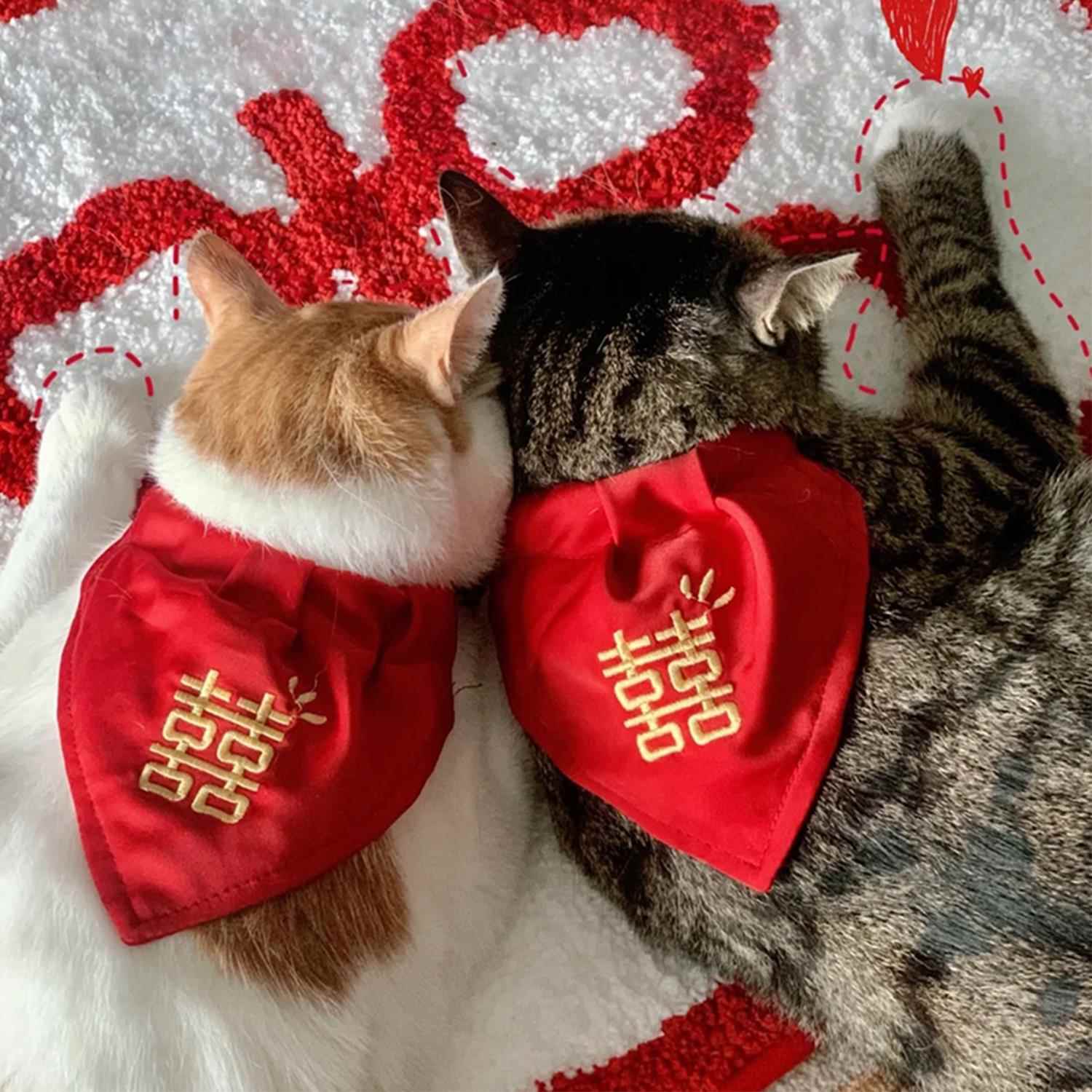 宠物狗狗新年围脖猫咪口水巾围巾结婚喜庆围兜过年喜字三角巾装饰