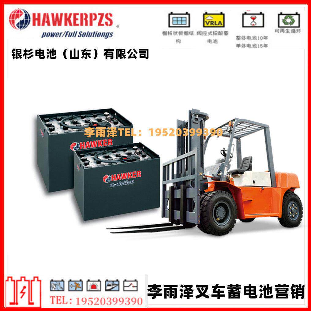 霍克电动托盘车蓄电池48V225AH  3PzS375 HAWKER叉车电池48V叉车