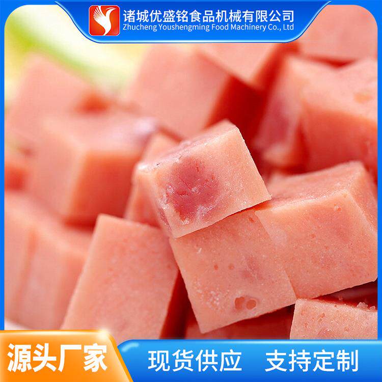多功能冻肉切丁设备 小型鸡胸肉切粒机器 全自动火腿肠切丁机