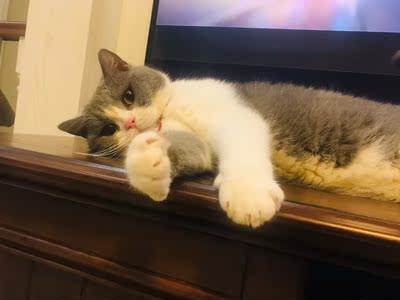 高人气款：康佳65G10U与长虹65A4U哪款好点？都有声控功能吗