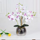 蝴蝶兰银盆仿真装 饰花束手感蝶蝴兰家居餐花桌布置景办公桌面BSN