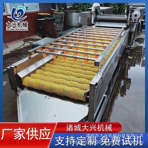 雪莲果清洗机带喷淋可连续式高压喷淋冲洗机全自动果蔬清洗设备