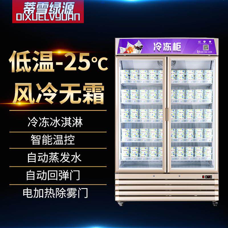 单门冷冻柜立式低温冷冻110V急冻柜冰淇淋低温展示柜跨境出口冷柜