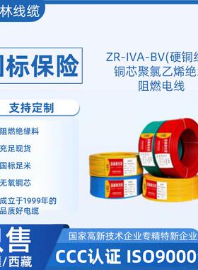 厂家pvc铜芯导线 BV线铜芯家装工程阻燃电线聚氯乙烯单股铜芯电线