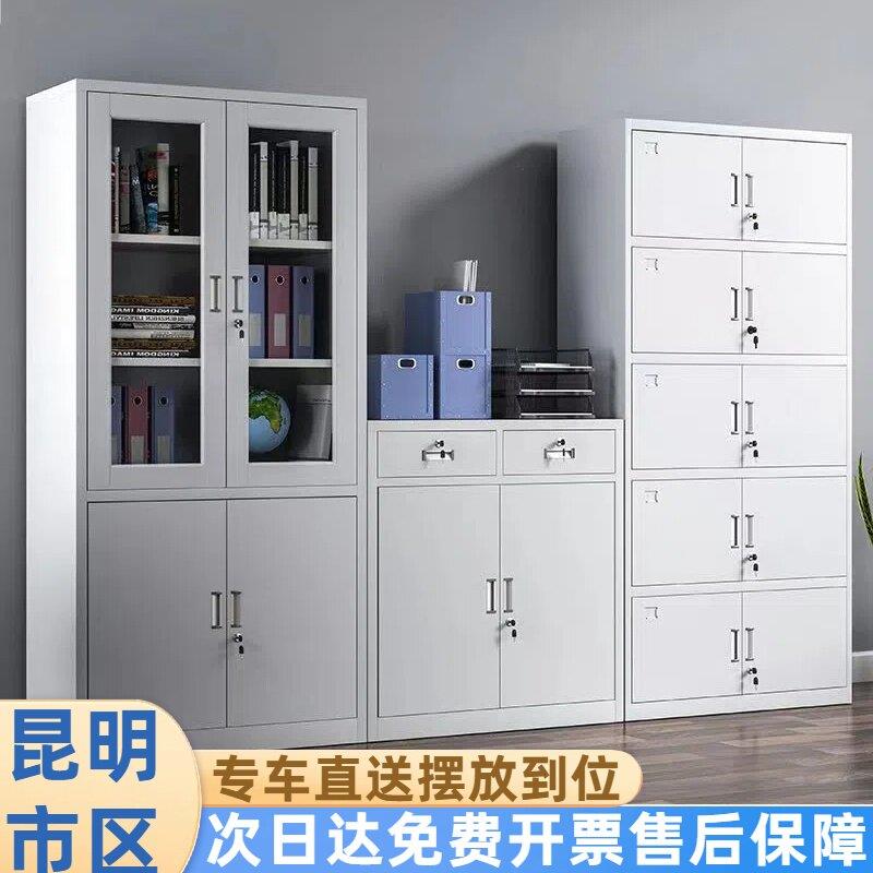 昆明钢制文件柜办公柜铁皮柜子档案资料柜财务室凭证柜收纳柜矮柜