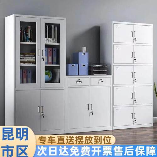 昆明钢制文件柜办公柜铁皮柜子档案资料柜财务室凭证柜收纳柜矮柜