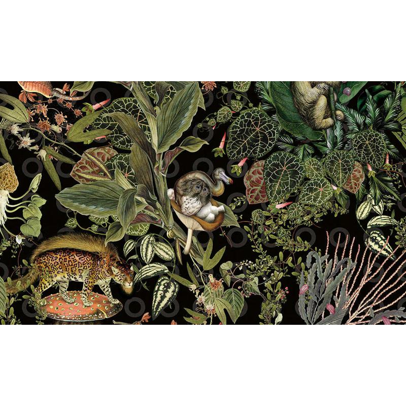 背景arte进口animals现货 灭绝壁纸 比利时moooi动物墙纸 extinct