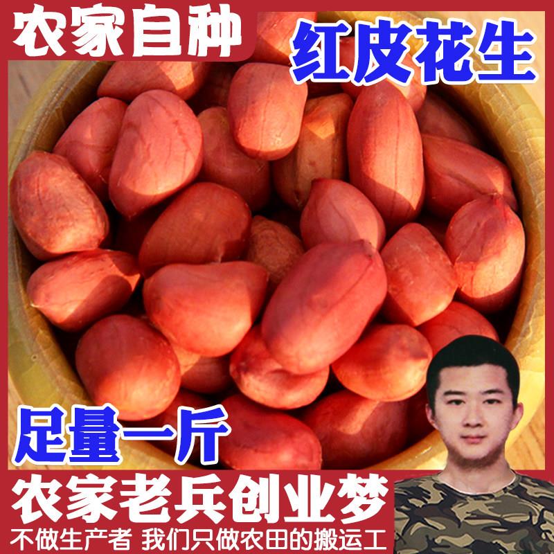 红油米皮花生500g 红衣花生米 生红皮花生仁干花生去壳新货
