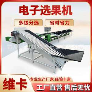 高精度百香果选果机全自动水果分拣机料盒式火龙果重量分选设备