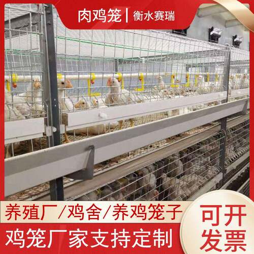 热镀锌三层肉鸡笼框架肉鸡笼全自动肉鸡笼养殖场用自动肉鸡笼