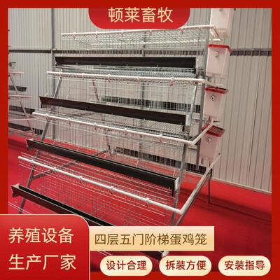 阶梯蛋鸡笼厂家4层5门阶梯式蛋鸡笼自动化框架式A型养殖厂蛋鸡笼