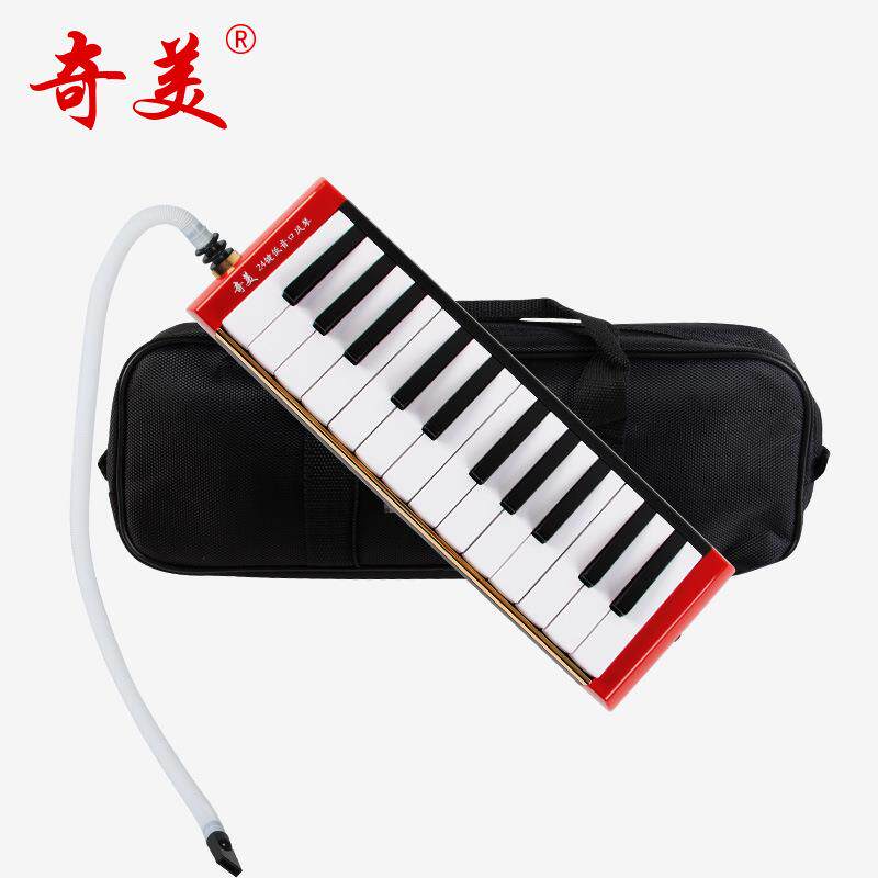 奇美24键低音口风琴乐团演奏级表演型乐器低音口风琴乐队组合用