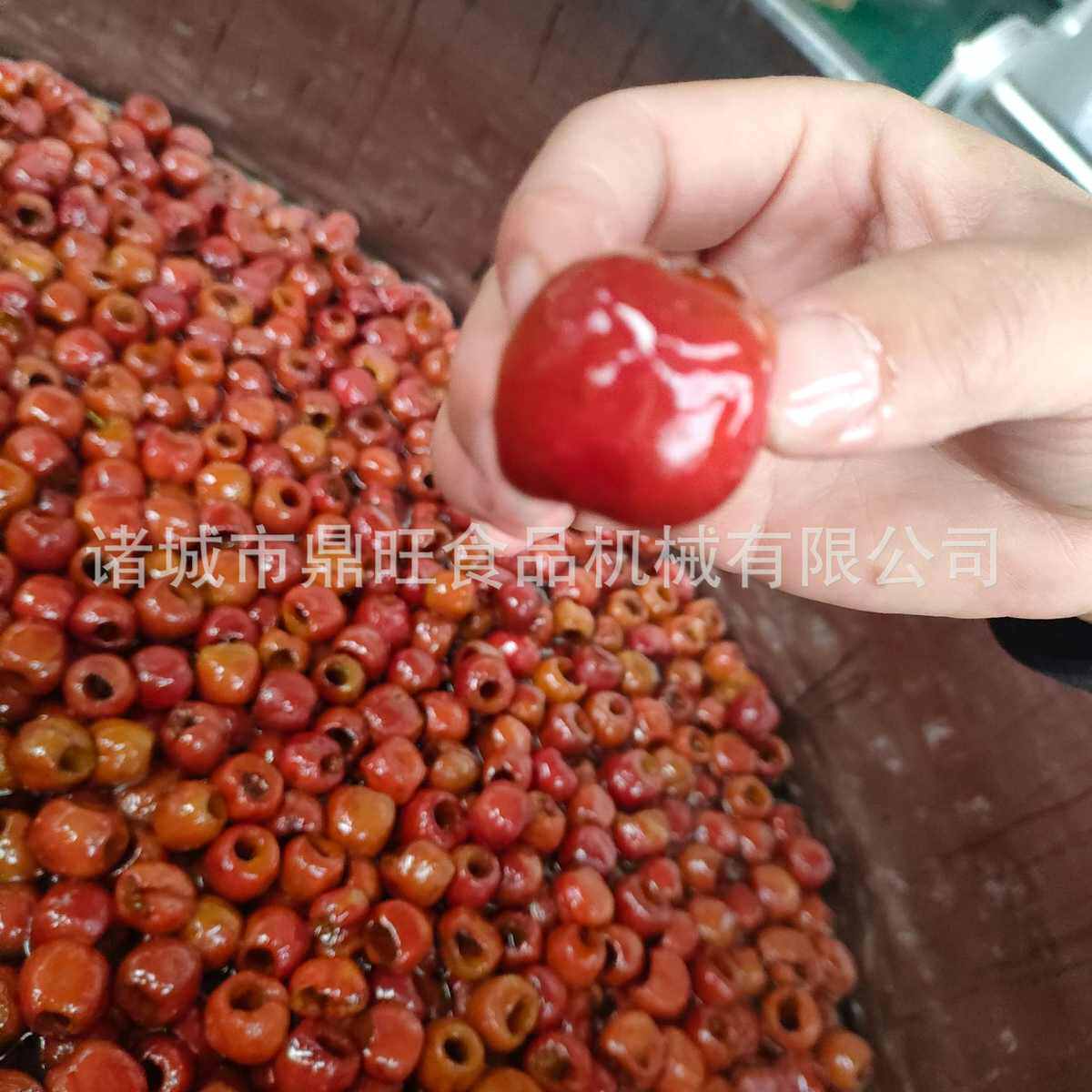 自动真空果脯浸糖机葡萄樱桃蜜桃干浸糖设备全自动负压浸糖锅