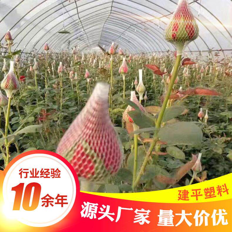 常年往云南供应 pe塑料网套 量大价优 玫瑰花网套玫瑰花保护网套