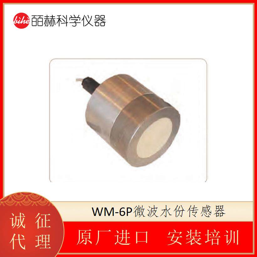 WM-6P微波水份传感器 含水检测仪
