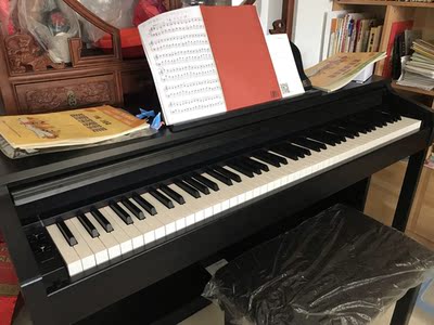 如何评价TheONE和卡西欧电钢琴比，应该选择谁呢？