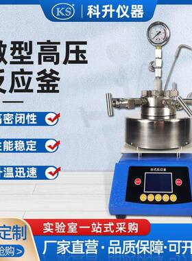 不锈钢氢化釜TGYF-B0.05/0.1/0.25/0.5L磁力搅拌微型高压反应釜