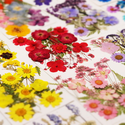 diy干花材料永生花押书签干花