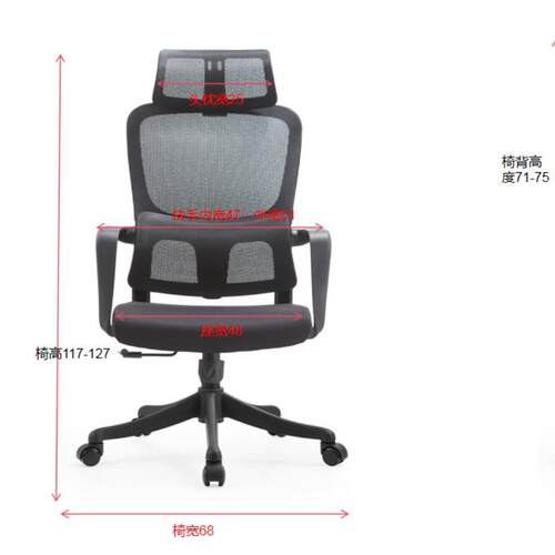 人体工椅办公宿舒适久坐电脑椅A01舍家用办学公椅室老板护腰可调