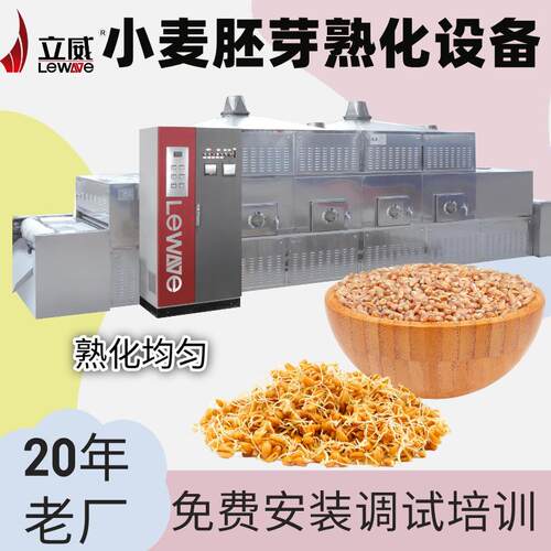 小麦胚芽熟化机器杂粮玉米粒烘干脱水机隧道式智能化设备