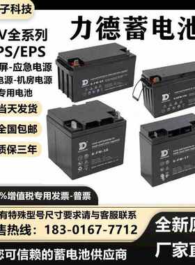 NIDTEAM力德蓄电池6-GFM-65 12V7AH17AH24AH38AH65AH100AH150AH