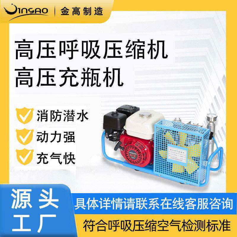 压呼吸空压机空气充填泵20-30Mpa家用便携气泵机械潜水设备