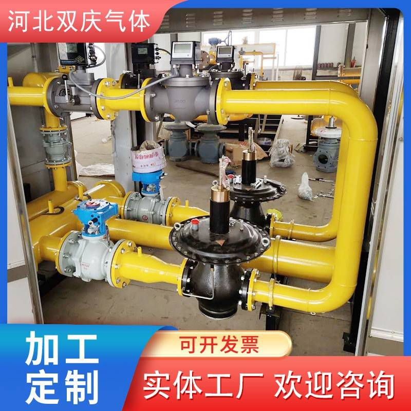厂家CNG 调压柜 LNG气化撬 增压器燃气计量柜 天然气体CNG 减压撬