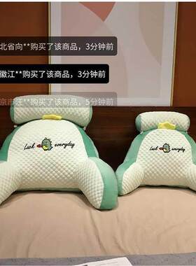特莱维尔冰豆豆床头靠枕沙发护腰软包大靠背床上玩手机护颈靠垫枕