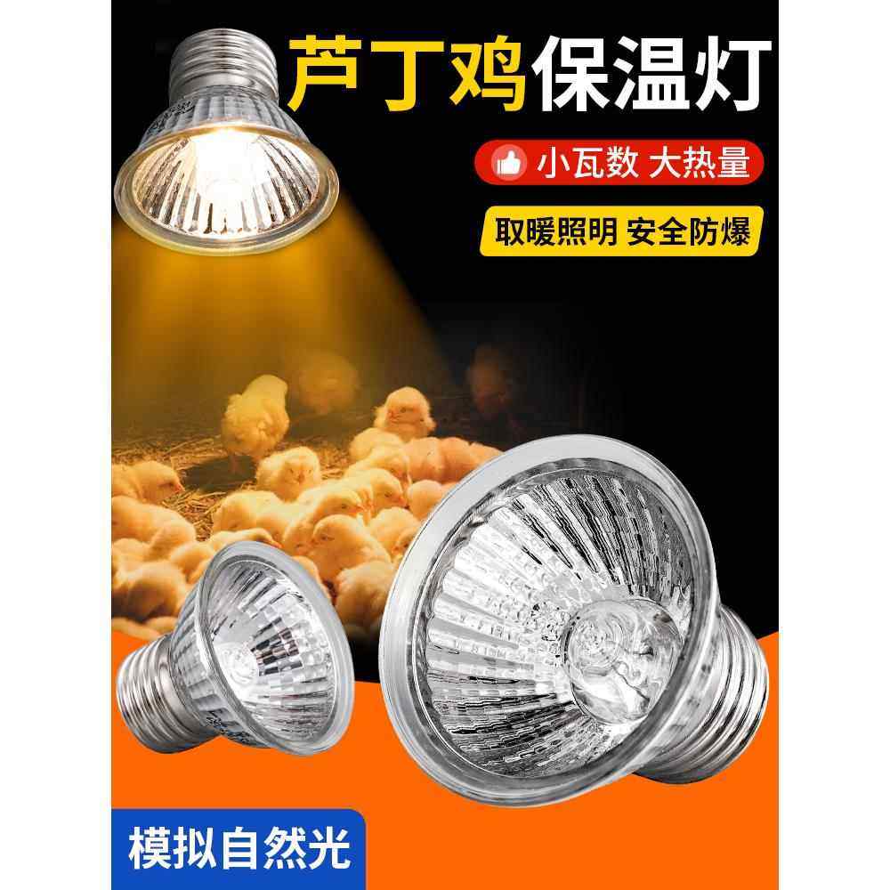 芦丁鸡保温灯小鸡育雏取暖灯宠物爬宠乌龟晒背太阳灯鹦鹉保暖灯泡,家装灯饰光源,LED球泡灯,淘宝优惠券,粉丝福利购,淘宝优惠卷