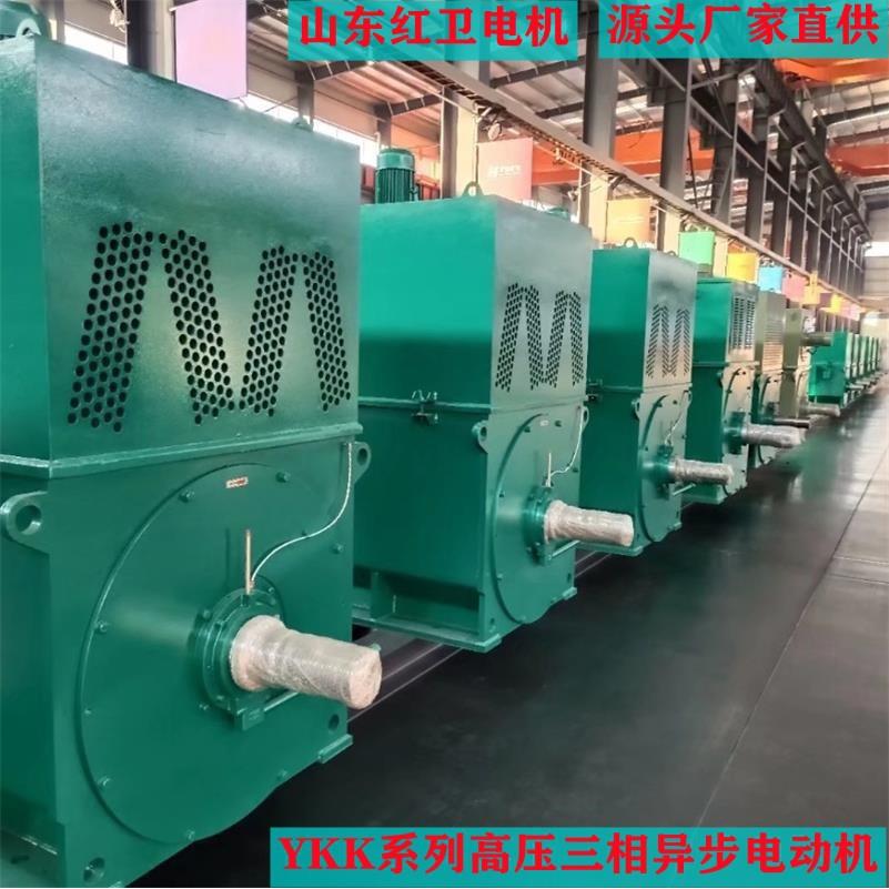 山东淄博厂家直供YKK450-6/250KW-10KVYKK高压三相异步电动机