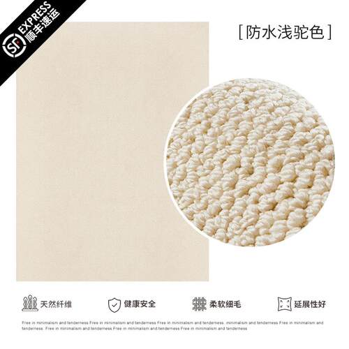 正品客真防水污地毯轻防奢高纯级感奶油风厅卧室免洗可擦色简约白