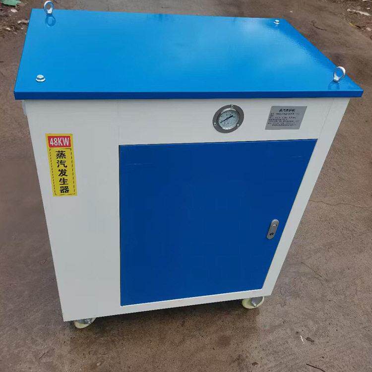 自动控温桥梁蒸汽养护器 全自动混凝土蒸汽养护机 节能蒸汽发生器