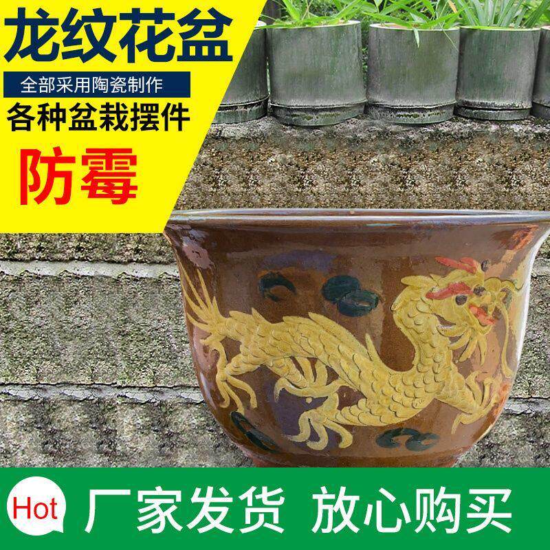 大口径60以上花盆陶瓷龙盆家用复古大缸庭院水缸花卉铁树发财树盆