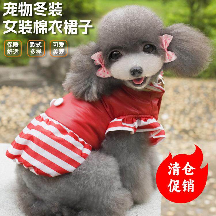 厂家秋冬泰迪博美小狗宠物衣服猫咪碎花飞袖小型犬两脚连身裙