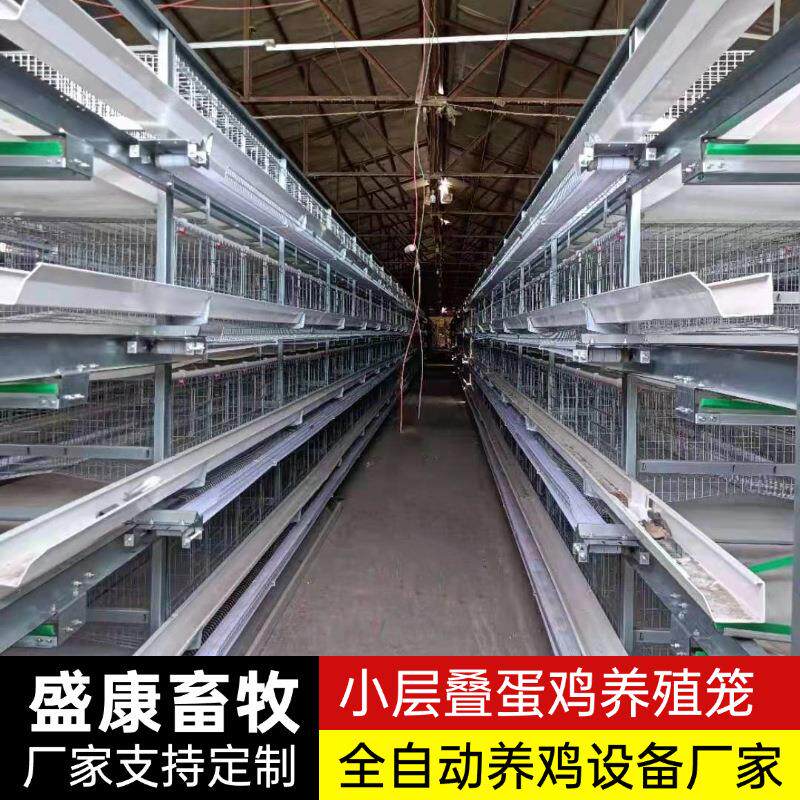 小层叠养殖自动化蛋鸡笼自动清粪上料热镀锌养殖场鸡舍养鸡蛋鸡笼