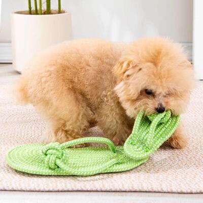 Pet Toy Dog Chew Slipper Toy Self-Entertainment Boredom Reli