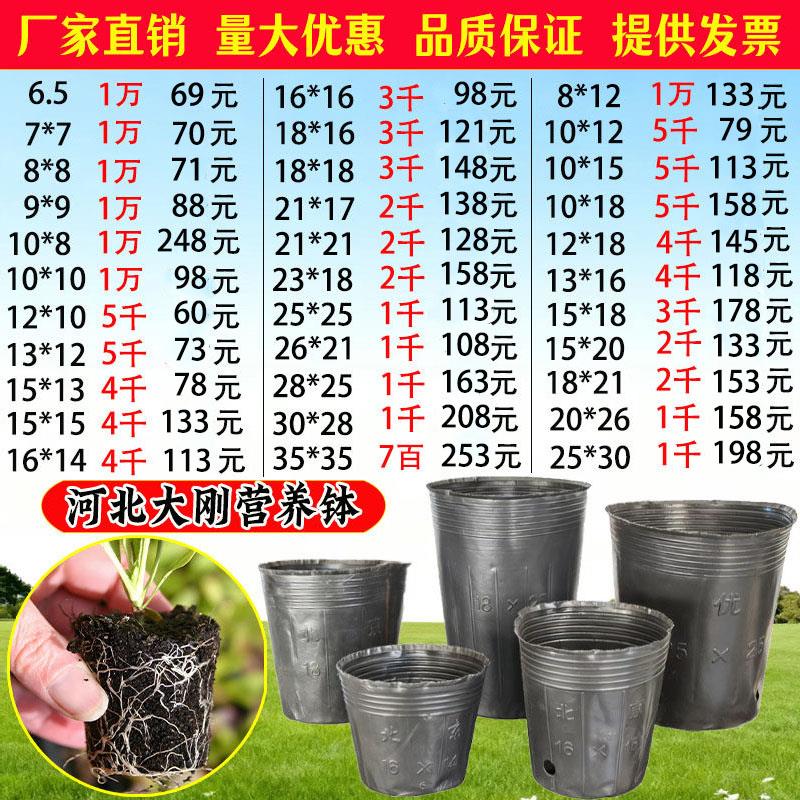 营养钵营养杯育苗杯塑料花盆加厚一次性树苗杯防老化育苗盆育苗袋