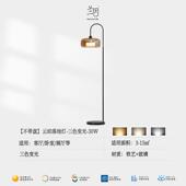 正品 因琥珀色客落地灯置物架一体现代厅沙发边轻高级兰感奢床头钓