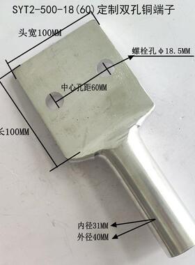 双孔铜鼻子贰眼铜T端子孔接头定置多平板0铜线耳SY2-50-9518(60)