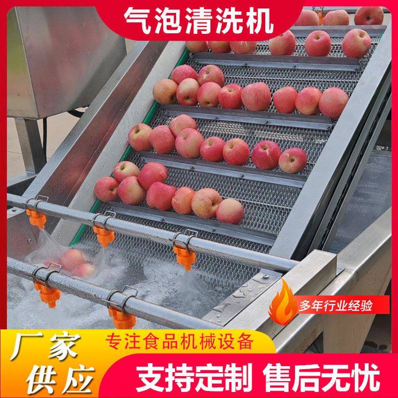商用果蔬气泡清洗机芒果片脱糖清洗机连续式酸菜脱盐气泡清洗机