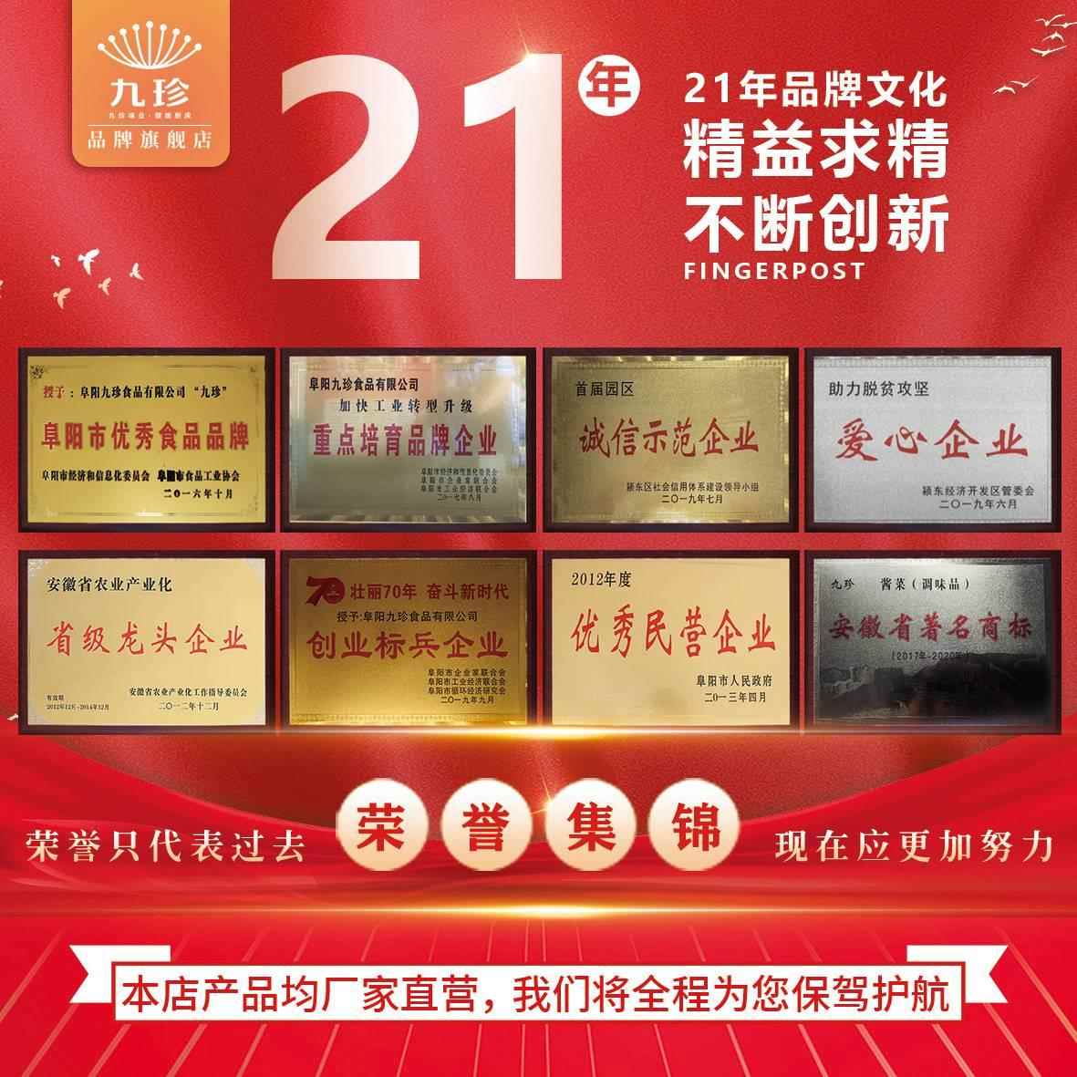 九珍排骨味王140g 家庭调味品料旗舰店官方直营凉拌菜排骨炖汤