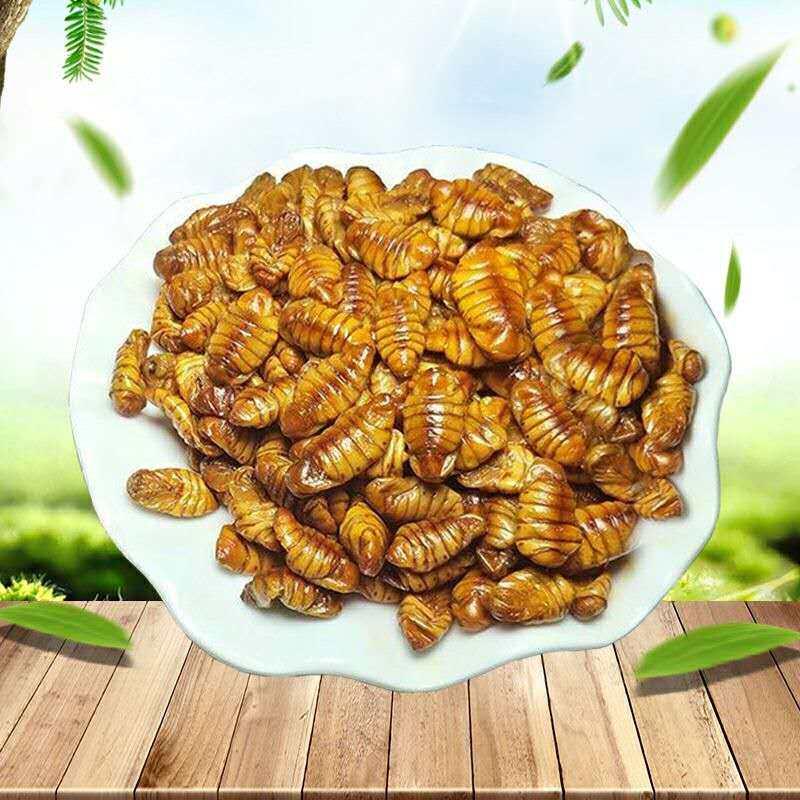 包邮5斤山东特产新鲜冷冻桑蚕蛹黄金蛹小蚕蛹茧蛹子小黄蛹蝉蛹