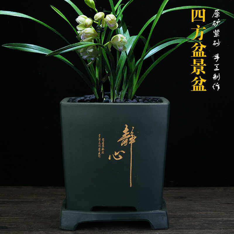 宜兴紫砂君子兰长方花盆专用陶瓷吸水透气带托盘养根高宅景精品